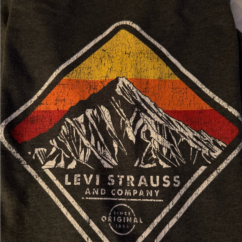 Levi's Charcoal Graphic T-Shirt